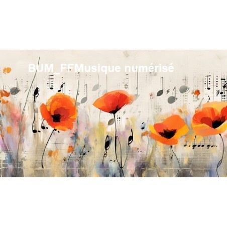 Notes between the poppies